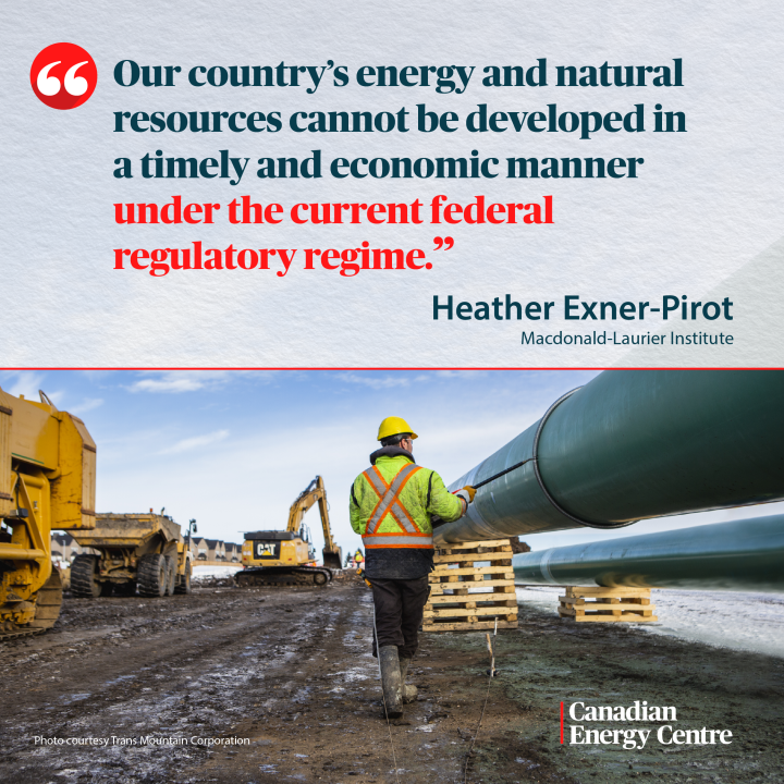 GRAPHIC: “Our country’s energy and natural resources cannot be developed in a timely and economic manner…”